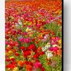 Colorful Flowers In Field Paint By Number