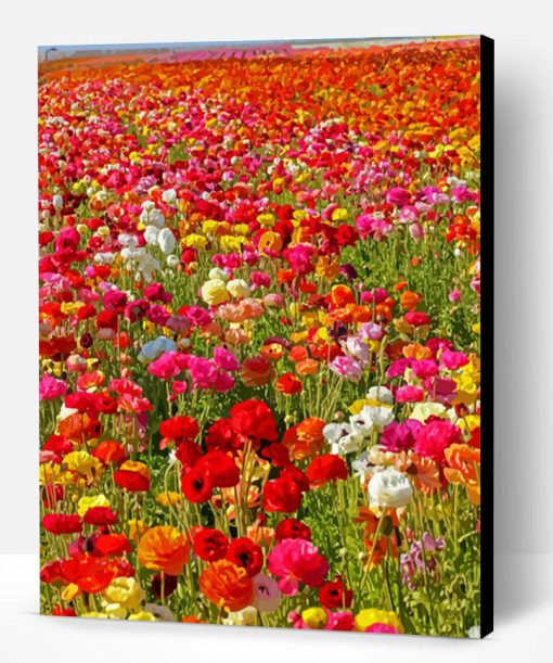 Colorful Flowers In Field Paint By Number