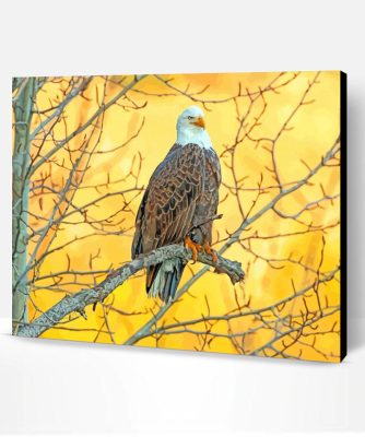 Cute Eagle On A Branch Paint By Number