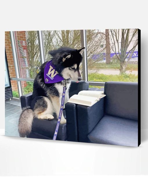 Cute Washington Husky Paint By Number