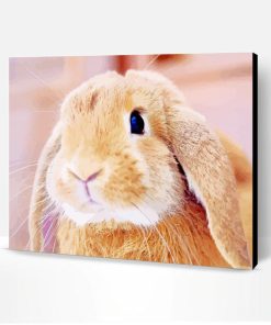 Cute Brown Female Bunny Paint By Number