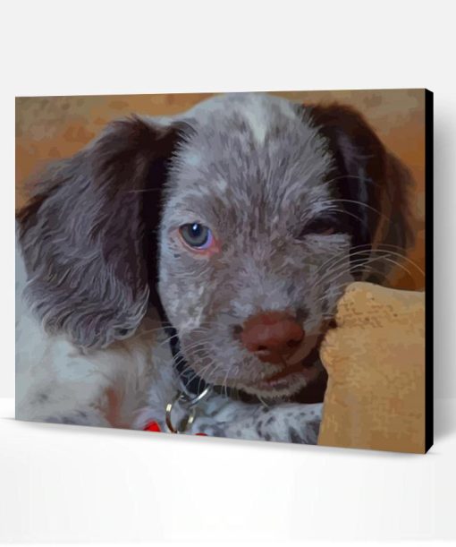 Cute Little Sprocker Paint By Number