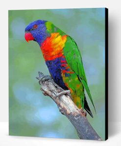 Cute Lory Bird Paint By Number