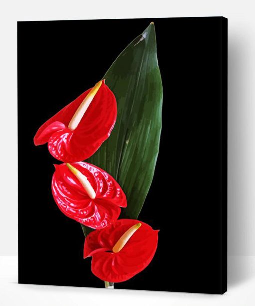 Flamingo Flower Anthurium Paint By Number