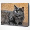 Fluffy Black Cat Pet Animal Paint By Number