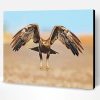 Flying Indian Spotted Eagle Bird Paint By Numbers