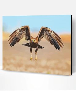 Flying Indian Spotted Eagle Bird Paint By Numbers