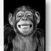 Funny Black And White Monkey Paint By Numbers