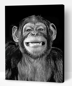 Funny Black And White Monkey Paint By Numbers