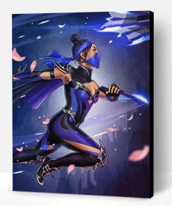 Game Characters Kitana Art Paint By Numbers