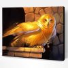 Golden Owl Paint By Numbers