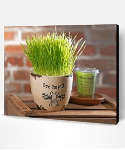 Green Wheatgrass In Pot Paint By Number