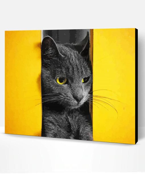 Grey Cat Yellow Wall Paint By Number