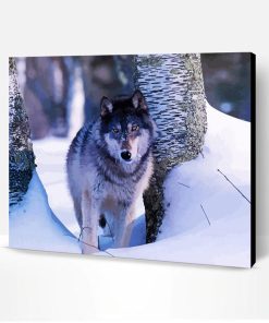 Grey Wolf In Deep Snow Paint By Number
