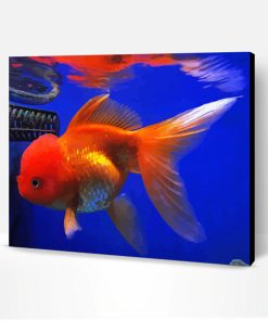 Jumbo Gold Fish Underwater Paint By Number