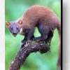 Mad Marten Animal Paint By Number