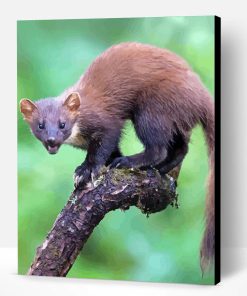 Mad Marten Animal Paint By Number