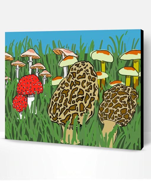 Morel Mushroom Illustration Paint By Number