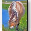 Norwegian Fjord Horse Eating Paint By Number