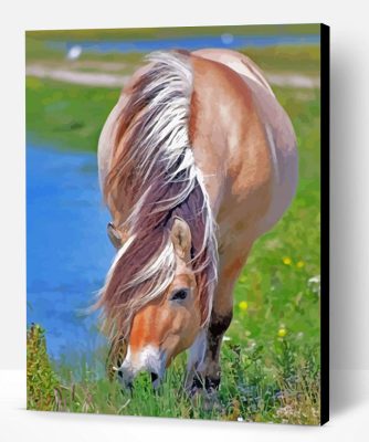 Norwegian Fjord Horse Eating Paint By Number