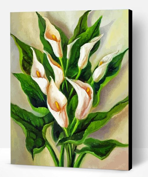 Peace Lily Flowers Paint By Number