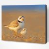 Piping Plover Birds Paint By Number