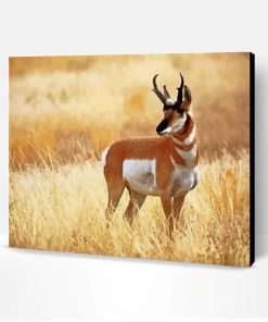 Pronghorn Wild Animal Paint By Numbers