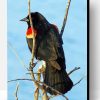 Red Winged Blackbird On Stick Paint By Numbers