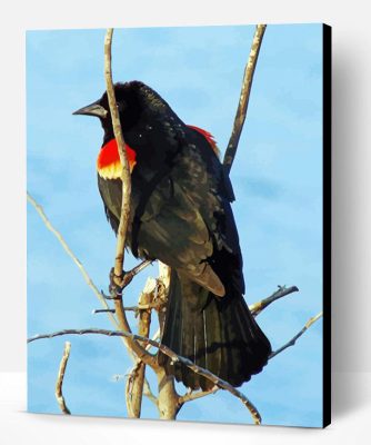 Red Winged Blackbird On Stick Paint By Numbers