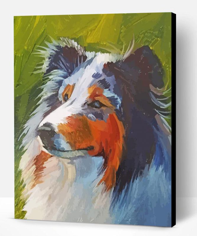Rough Collie Dog Art Paint By Numbers