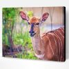 Smiling Nyala Animal Art Paint By Numbers