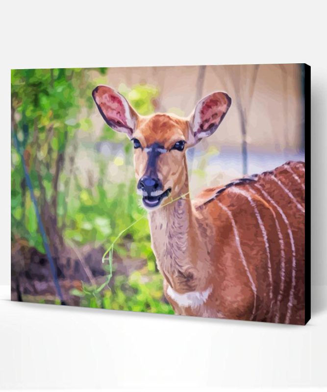 Smiling Nyala Animal Art Paint By Numbers