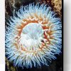 White Sea Anemone Paint By Number