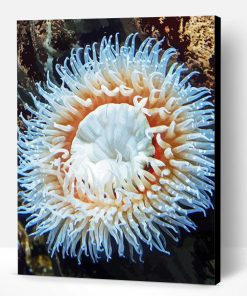 White Sea Anemone Paint By Number