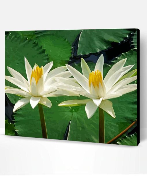 White Tiger Lotus Paint By Number