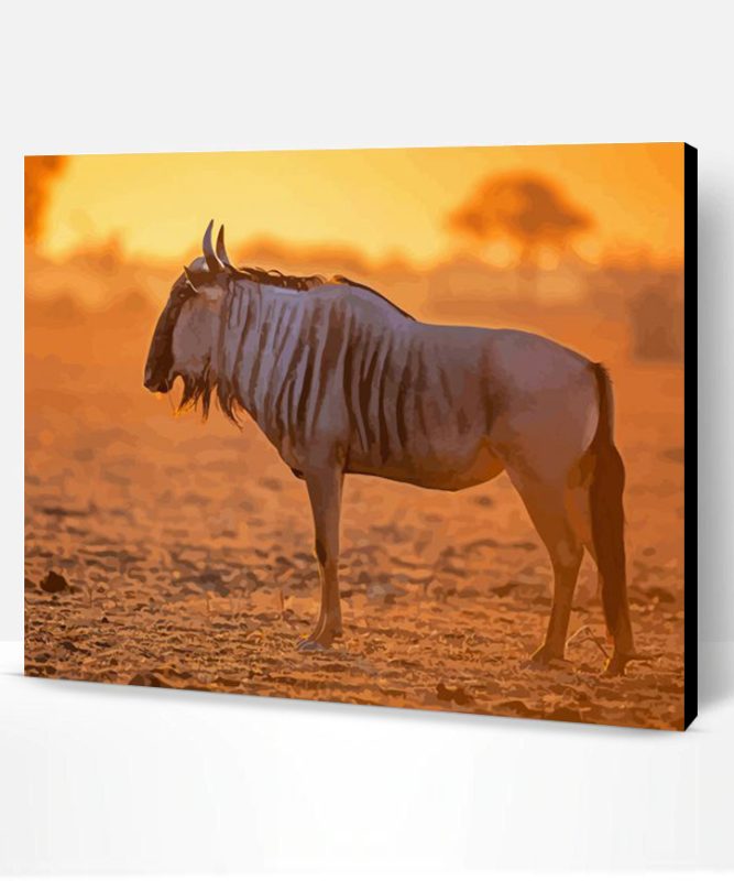 Wildebeest Animal Paint By Number