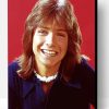 Young David Cassidy Paint By Numbers