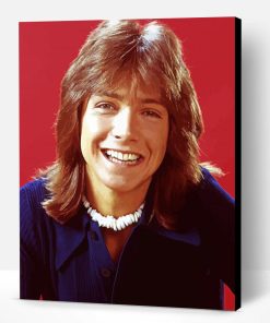 Young David Cassidy Paint By Numbers