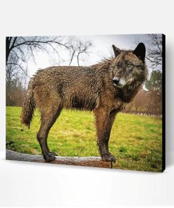Black And Brown Wolf Paint By Number