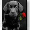 Black Lab With Rose Paint By Number