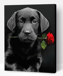 Black Lab With Rose Paint By Number