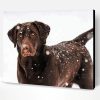 Chocolate Labrador Retriever In Snow Paint By Number