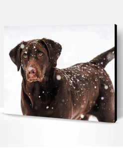 Chocolate Labrador Retriever In Snow Paint By Number