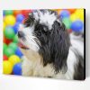 Cute Black And White Shih Poo Paint By Number