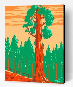 Giant Sequoia Tree Paint By Number