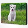 Jindo Dog Puppy On Grass Paint By Number