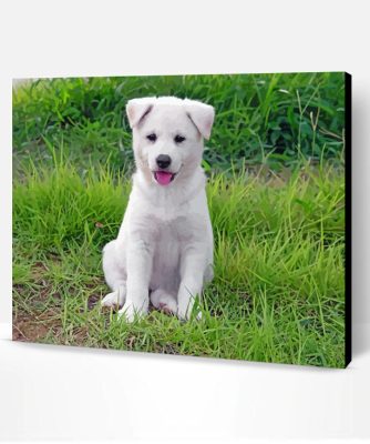 Jindo Dog Puppy On Grass Paint By Number