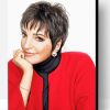 Liza Minnelli Paint By Number