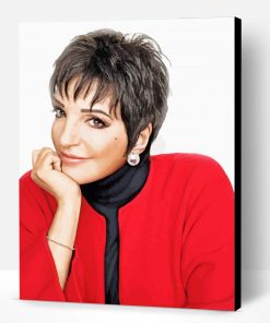 Liza Minnelli Paint By Number