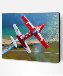 Military Snowbirds Paint By Number